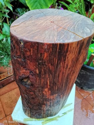 Tronco artesanal Pino Norte Decorativo