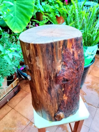 Tronco artesanal Pino Norte Decorativo
