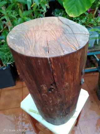 Tronco artesanal Pino Norte Decorativo