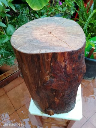 Tronco artesanal Pino Norte Decorativo