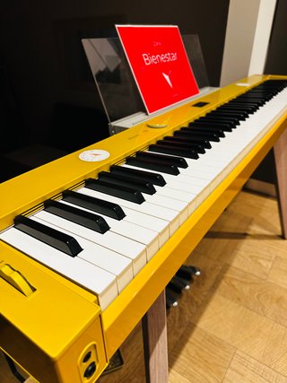 Casio Privia PX-S7000 HM