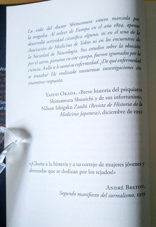 LA MUJER ZORRO Y EL DOCTOR SHIMAMURA
