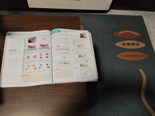 Física y química 2 ESO
