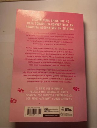 El Diario de la Princesa: Princesa Por Sorpresa...