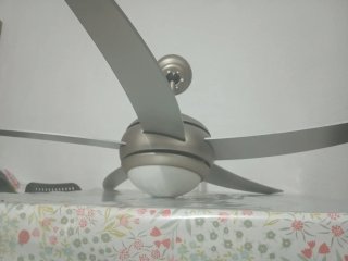 Ventilador de techo Taurus Plata