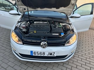 Volkswagen Golf 7  1.6 TDI bluemotion 110CV ETI C