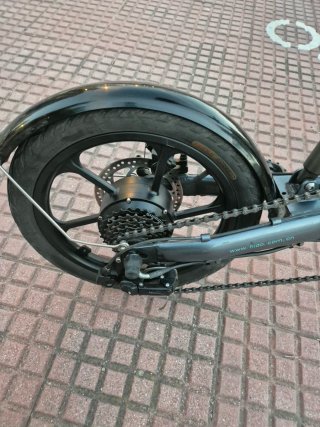 Bicicleta Eléctrica Plegable Fiido D2s