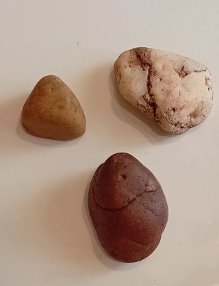 Centro Zen Escritorio: Cactus, Aloe y Piedras