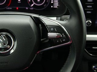 Skoda Kamiq 1.0 TSI 81kW (110CV) Ambition
