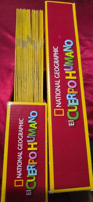 National Geographic – El Cuerpo Humano – completa