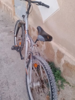 Bicicleta Genox 24 Plata