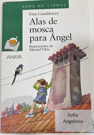 Alas de mosca para Ángel