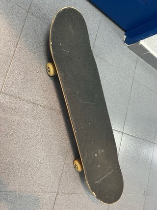 Skate ZOO YORK Junior (10-13 años)