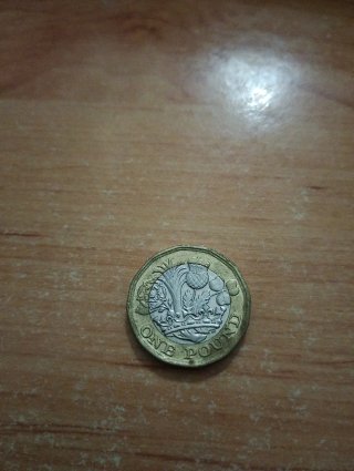 Moneda de 1 libra 2017 reina Isabel II