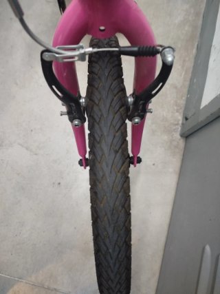 Bicicleta infantil 20 DENBIKE