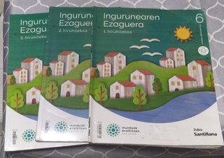 Ingurune 6 primaria