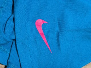 Camiseta Nike LeBron James Azul y Rosa