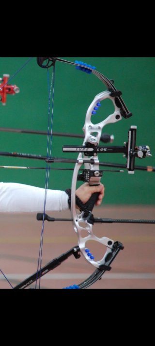 Arco Hoyt Pro Comp FX