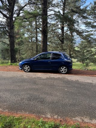 Peugeot 206 2004