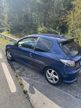 Peugeot 206 2004