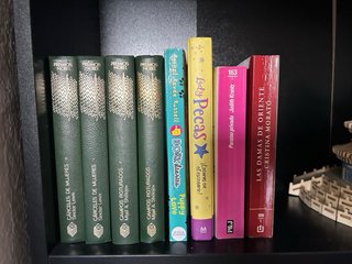 Lote de libros