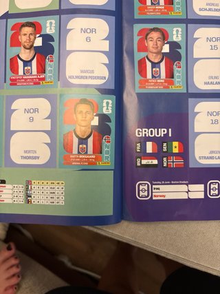 Álbum Panini Mundial 316 cromos pegados