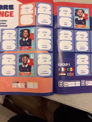 Álbum Panini Mundial 316 cromos pegados