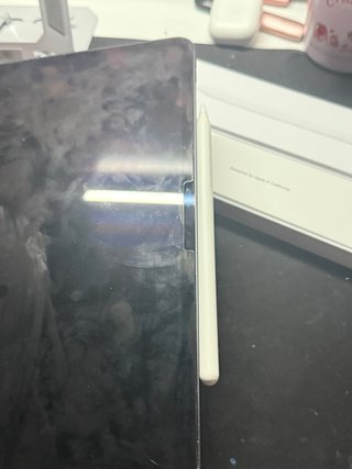 Apple Pencil 2ª Gen