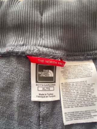 Pantalón corto The North Face gris