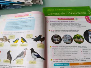 Lote libros de texto 3 primaria.