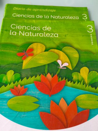 Lote libros de texto 3 primaria.