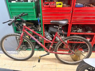 Bicicleta America X81