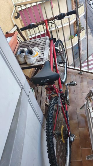 Bicicleta de montaña roja