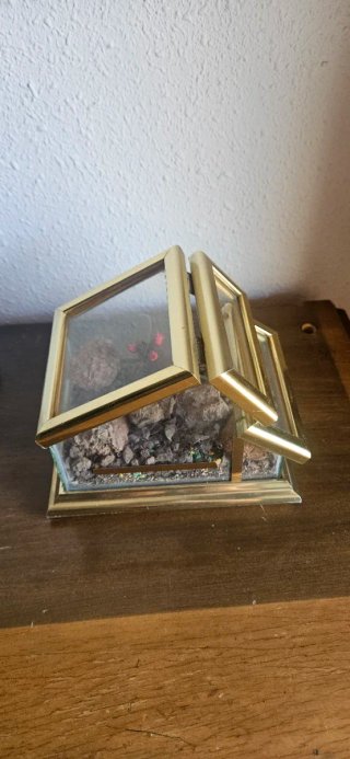 Mini terrario