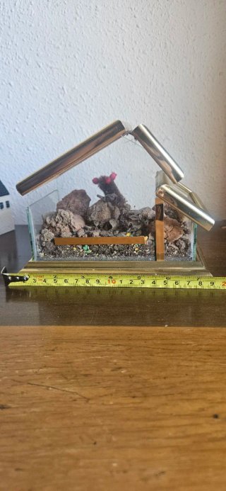 Mini terrario