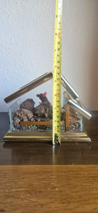 Mini terrario