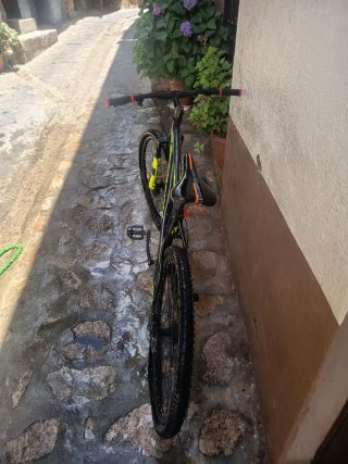 Bicicleta de montaña Esperia