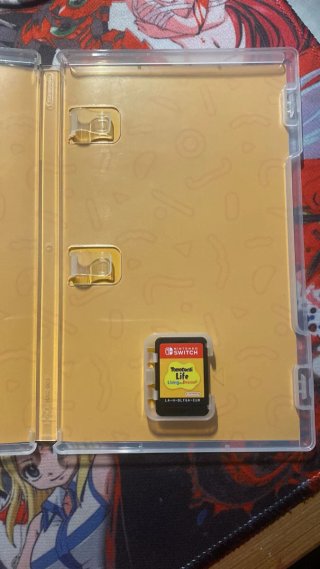 Tomodachi Life Switch