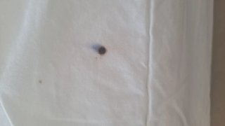 Edredón RÖDTOPPA IKEA Blanco