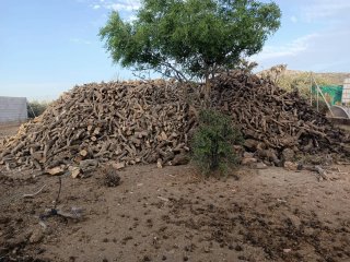 Leña de olivo para barbacoa