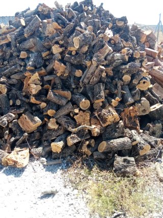 Leña de olivo para barbacoa