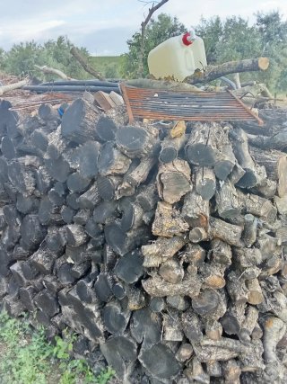 Leña de olivo para barbacoa
