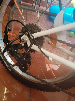 Bicicleta