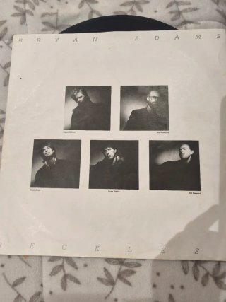 Lote Bryan Adams: 4 Vinilos LP + Libro + Poster