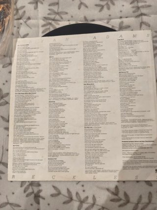 Lote Bryan Adams: 4 Vinilos LP + Libro + Poster