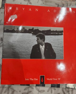 Lote Bryan Adams: 4 Vinilos LP + Libro + Poster