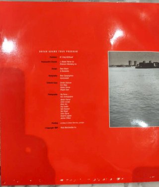 Lote Bryan Adams: 4 Vinilos LP + Libro + Poster