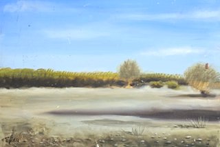 Cuadros y retratos ak óleo, pastel