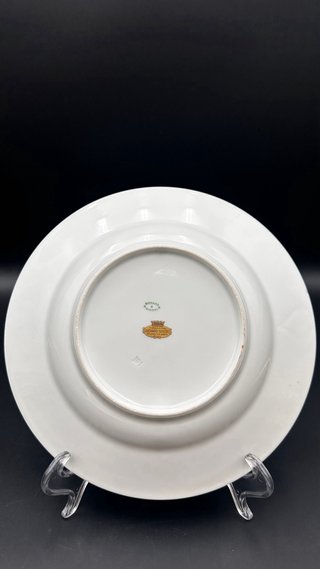 Piatto Fondo Richard Ginori Doccia Ø25
