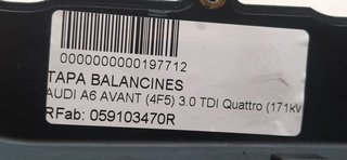 AUDI A6 AVANT (4F5) 3.0 TDI Quattro (171kW) TAPA BALANCINES